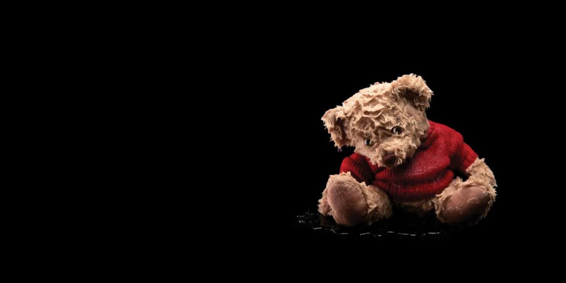 Teddy